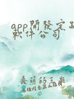 app开发定制软件公司