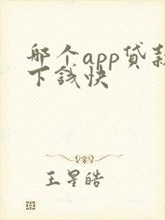 哪个app贷款下钱快