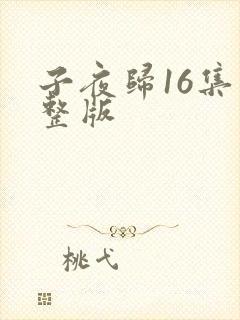 子夜归16集完整版