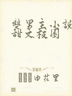 双男主小说推荐甜文校园