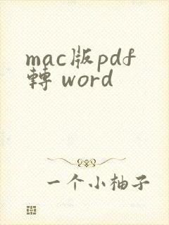 mac版pdf转 word