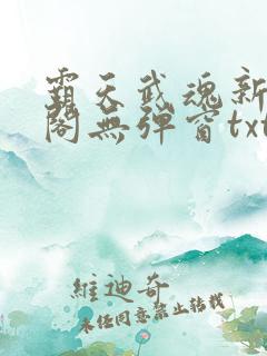 霸天武魂新笔趣阁无弹窗txt