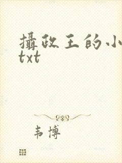 摄政王的小闲妻txt