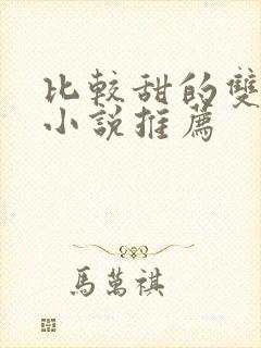 比较甜的双男主小说推荐