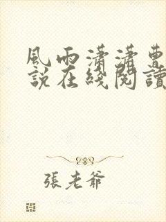 风雨潇潇曹宇小说在线阅读