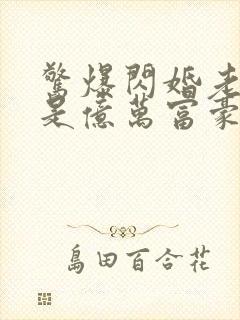 惊爆闪婚老公竟是亿万富豪免费阅读