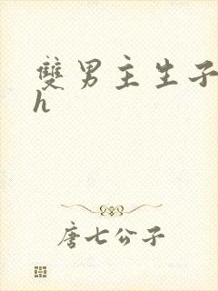 双男主生子文高h