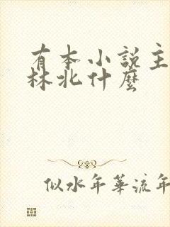 有本小说主角叫林北什么