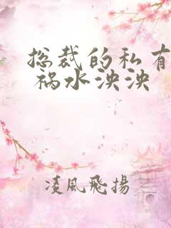 总裁的私有宝贝 祸水泱泱