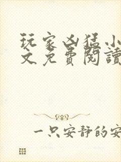 玩家凶猛小说全文免费阅读