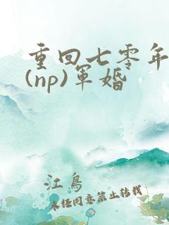 重回七零年代文(np)军婚