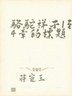 骆驼祥子1到24章的标题