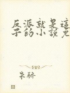 反派就是这个样子的小说免费阅读