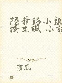 陆爷的小祖宗又撩又飒 小说