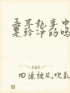 垂耳执事中言逸是干净的吗