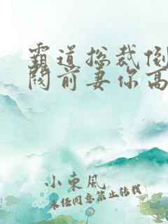 霸道总裁倒追财阀前妻你高攀不起