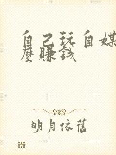 自己玩自媒体怎么赚钱