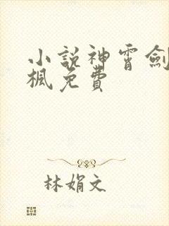 小说神霄剑宗林枫免费