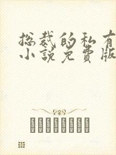 总裁的私有宝贝小说免费版