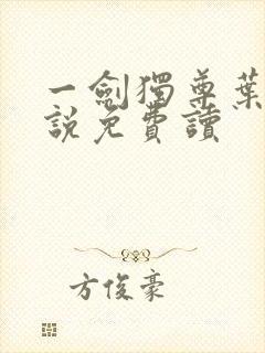 一剑独尊叶玄小说免费读