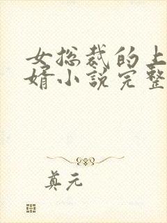 女总裁的上门女婿小说完整版