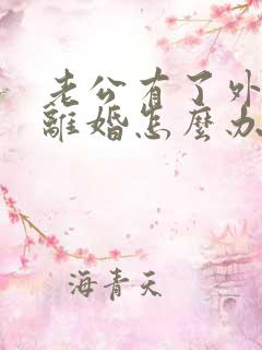 老公有了外遇要离婚怎么办