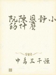 阮陈恩静小说讲的什么