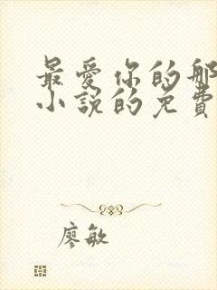 最爱你的那十年小说的免费阅读