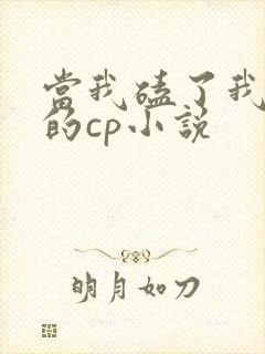 当我磕了我对家的cp小说