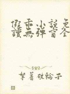 假乖小说免费阅读无弹窗全文