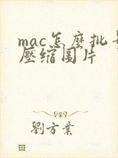 mac怎么批量压缩图片