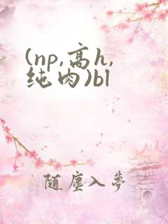 (np,高h,纯肉)bl