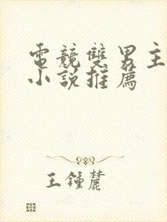 电竞双男主冷门小说推荐