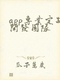 app专业定制开发团队