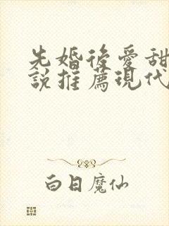 先婚后爱甜文小说推荐现代言情