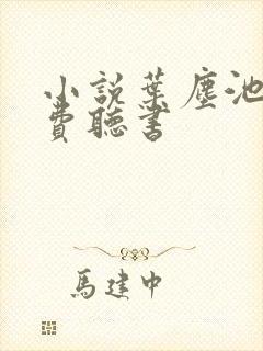 小说叶尘池瑶免费听书