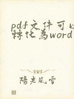 pdf文件可以转化为word吗