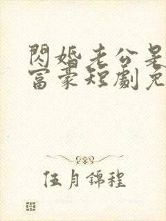 闪婚老公是超级富豪短剧免费观看