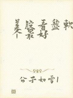 美股看盘软件哪个最好