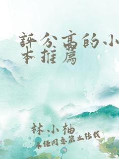 评分高的小说完本推荐