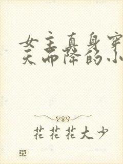 女主真身穿越从天而降的小说