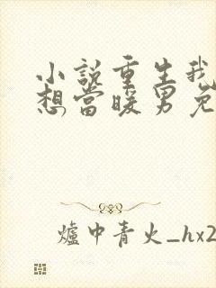 小说重生我真没想当暖男免费阅读