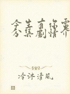 今生有你电视剧分集剧情介绍