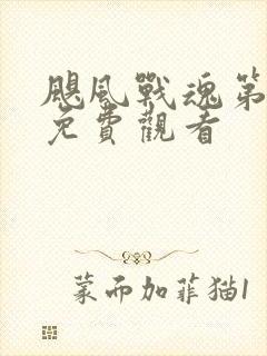 飓风战魂第1季免费观看