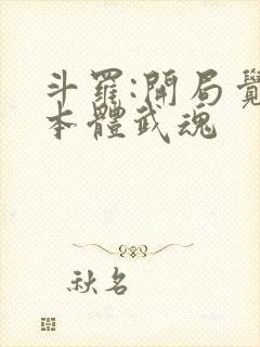 斗罗:开局觉醒本体武魂