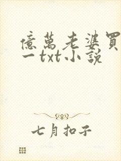 亿万老婆买一送一txt小说