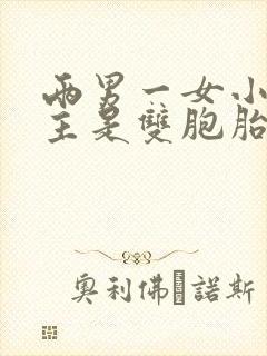 两男一女小说男主是双胞胎