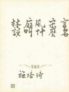 林庭风宋言汐小说叫什么名字