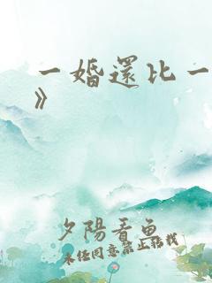 一婚还比一婚高》