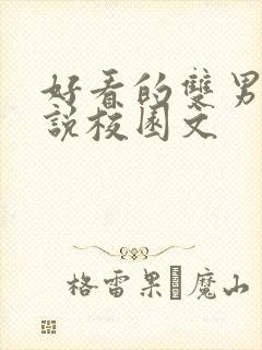 好看的双男主小说校园文